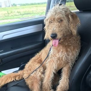 Meet your Posher, Kelsey